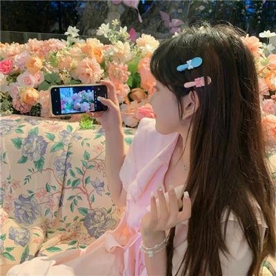 美国豚鼠